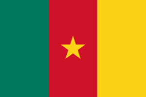 Bandera de Camerún: Tres franjas verticales, verde, rojo con una estrella amarilla, y amarillo.