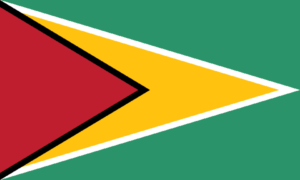 Bandera de Guyana: Verde con un triángulo dorado seguido de un triángulo blanco y uno rojo, y una franja negra.