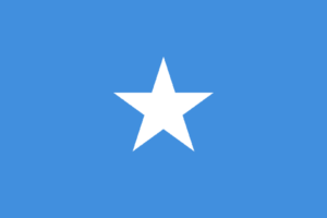 Bandera de Somalia: Campo azul con una estrella blanca de cinco puntas en el centro.
