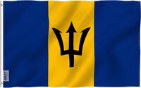 Bandera de  Barbados Amazon