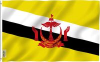 Bandera de  Brunei Amazon