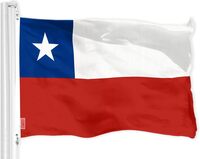 Bandera de  Chile Amazon