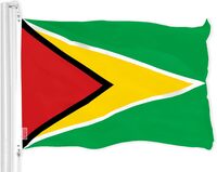Bandera de Guyana Amazon